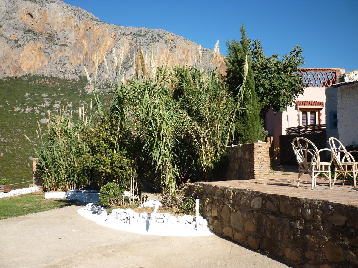 Caiat Lounge Refuge Hostel Taghzoute Kültér fotó