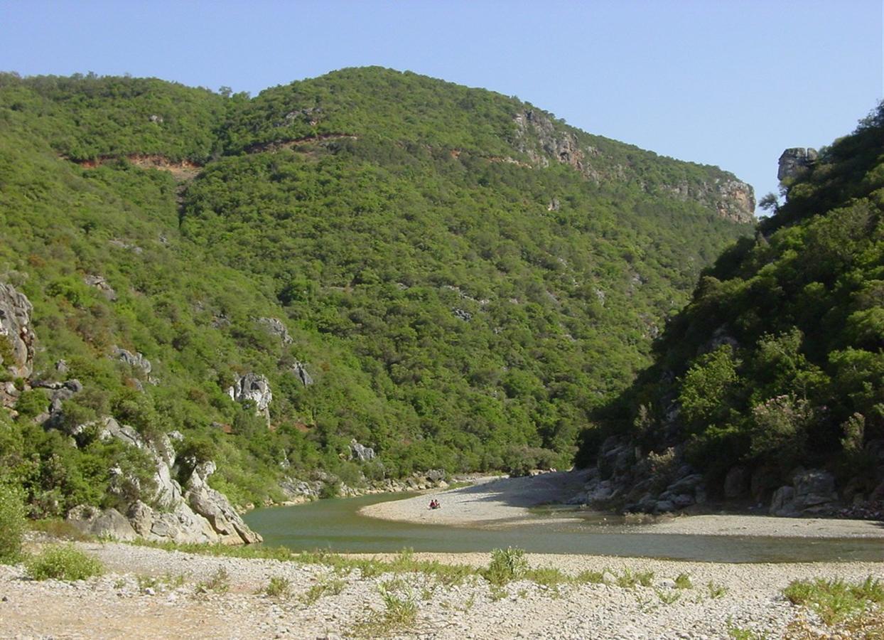 Caiat Lounge Refuge Hostel Taghzoute Kültér fotó